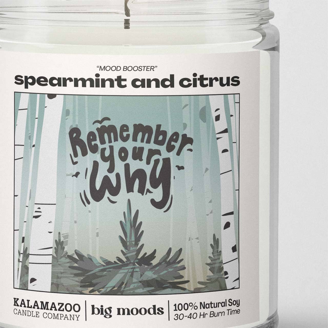 Lit & Inspired : “Remember Your Why” – Spearmint & Citrus Candle - The Defined Collective