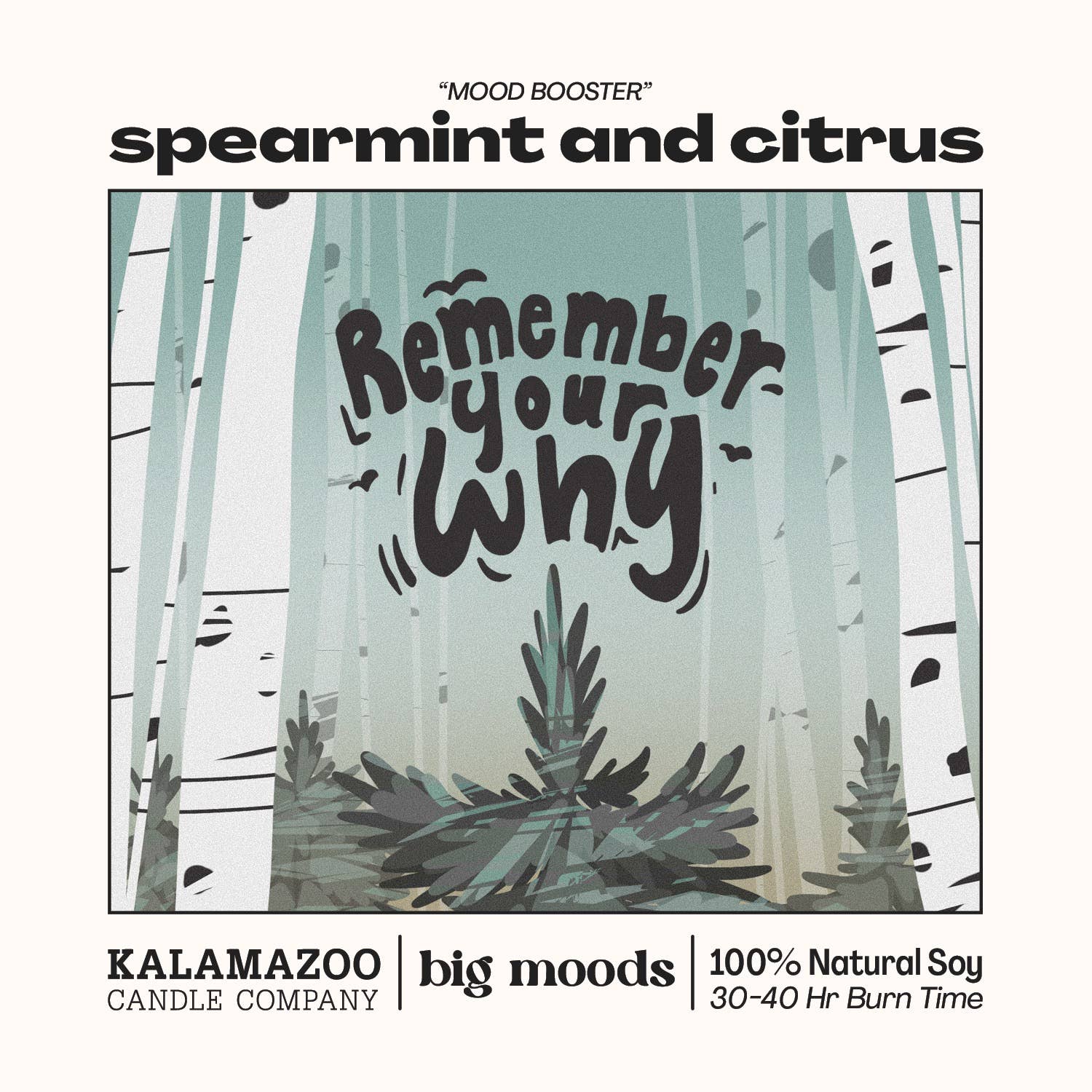 Lit & Inspired : “Remember Your Why” – Spearmint & Citrus Candle - The Defined Collective